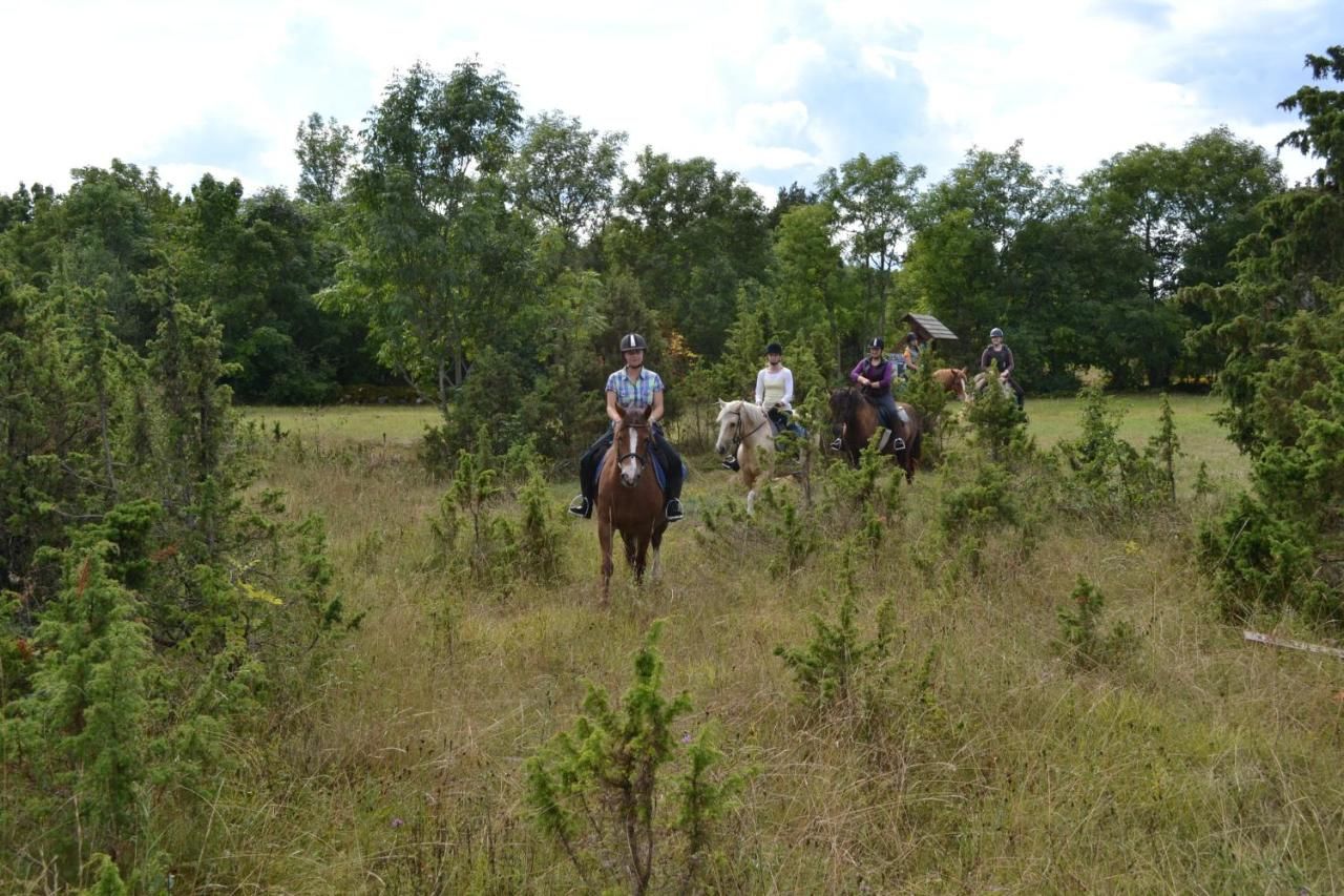 Фермерские дома Tihuse Horsefarm B&B Liiva-17