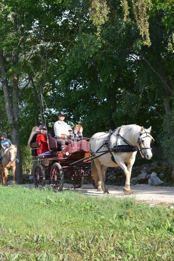 Фермерские дома Tihuse Horsefarm B&B Liiva