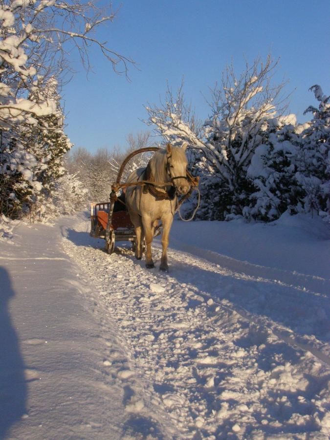 Фермерские дома Tihuse Horsefarm B&B Liiva