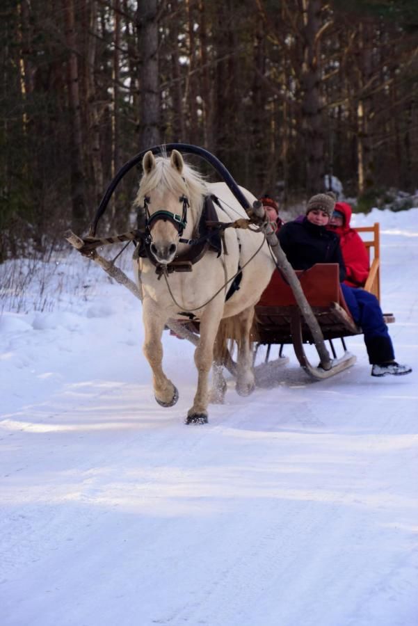 Фермерские дома Tihuse Horsefarm B&B Liiva