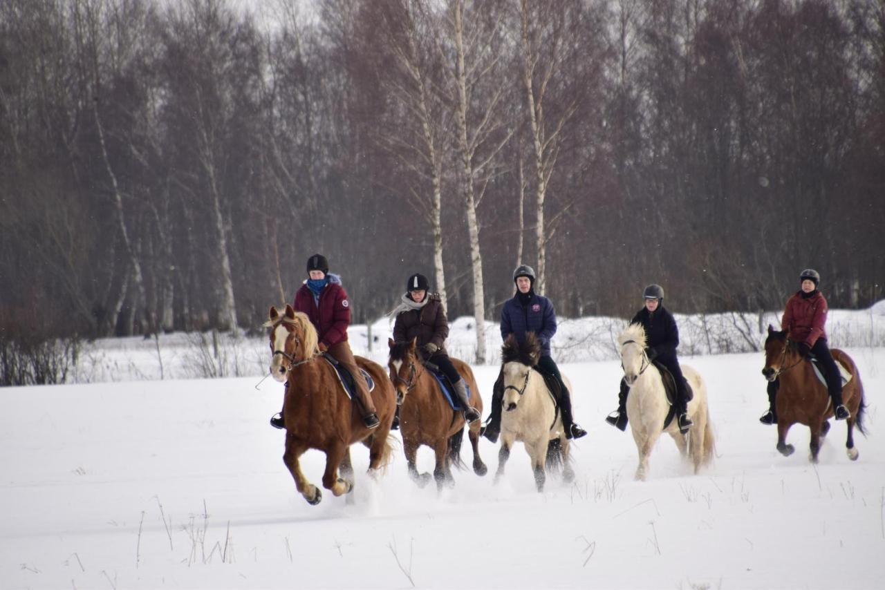 Фермерские дома Tihuse Horsefarm B&B Liiva